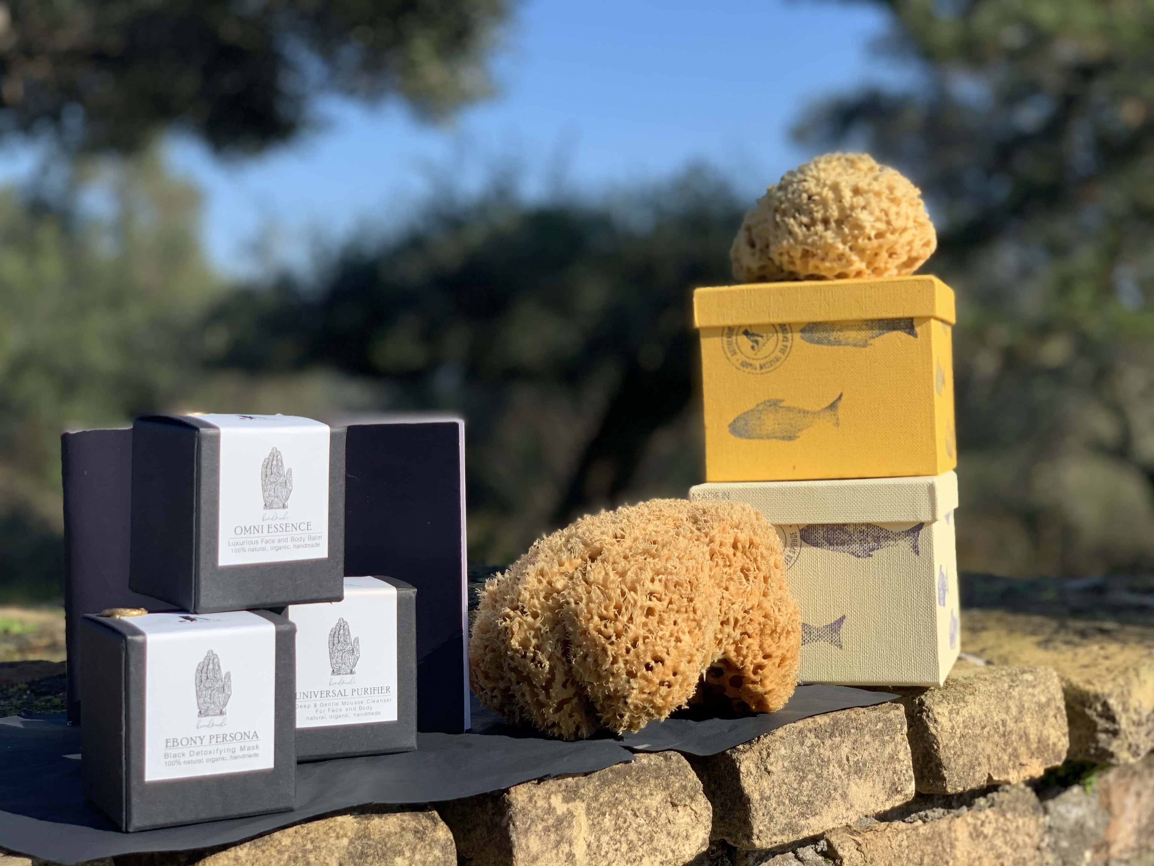 SFUNGA Natural Sea Sponge-2