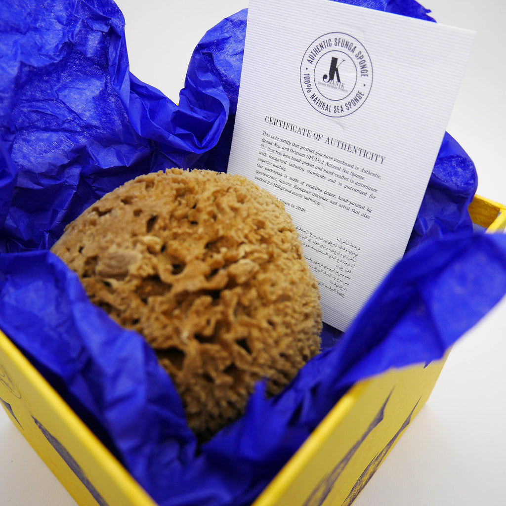 SFUNGA Natural Sea Sponge-3