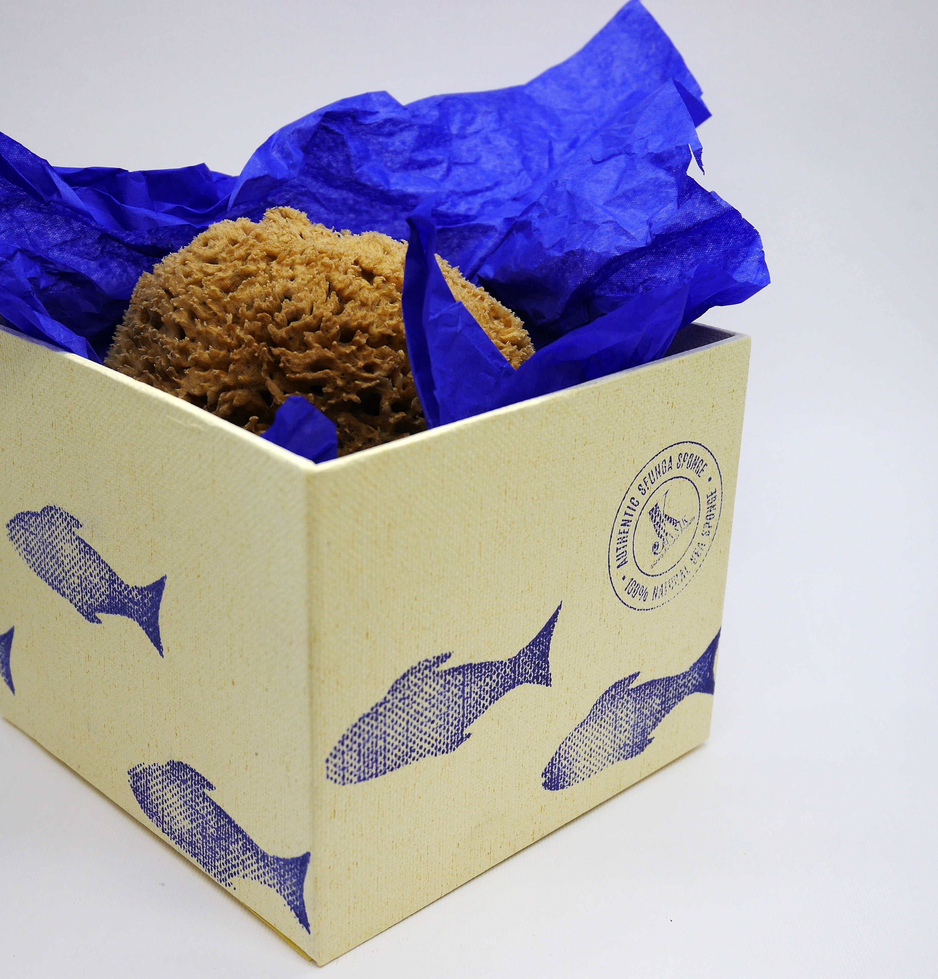SFUNGA Natural Sea Sponge-4