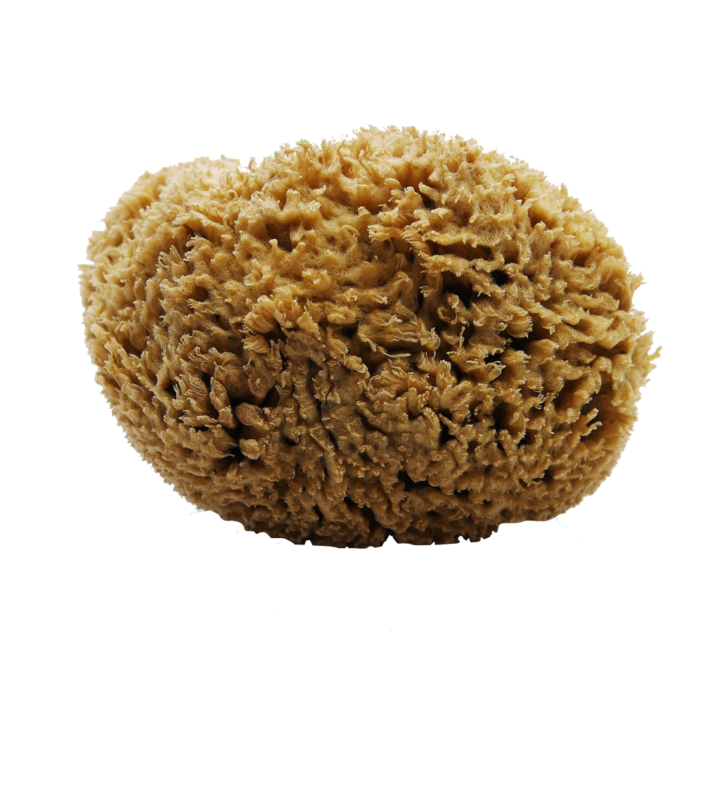 SFUNGA Natural Sea Sponge-0