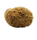 SFUNGA Natural Sea Sponge-0